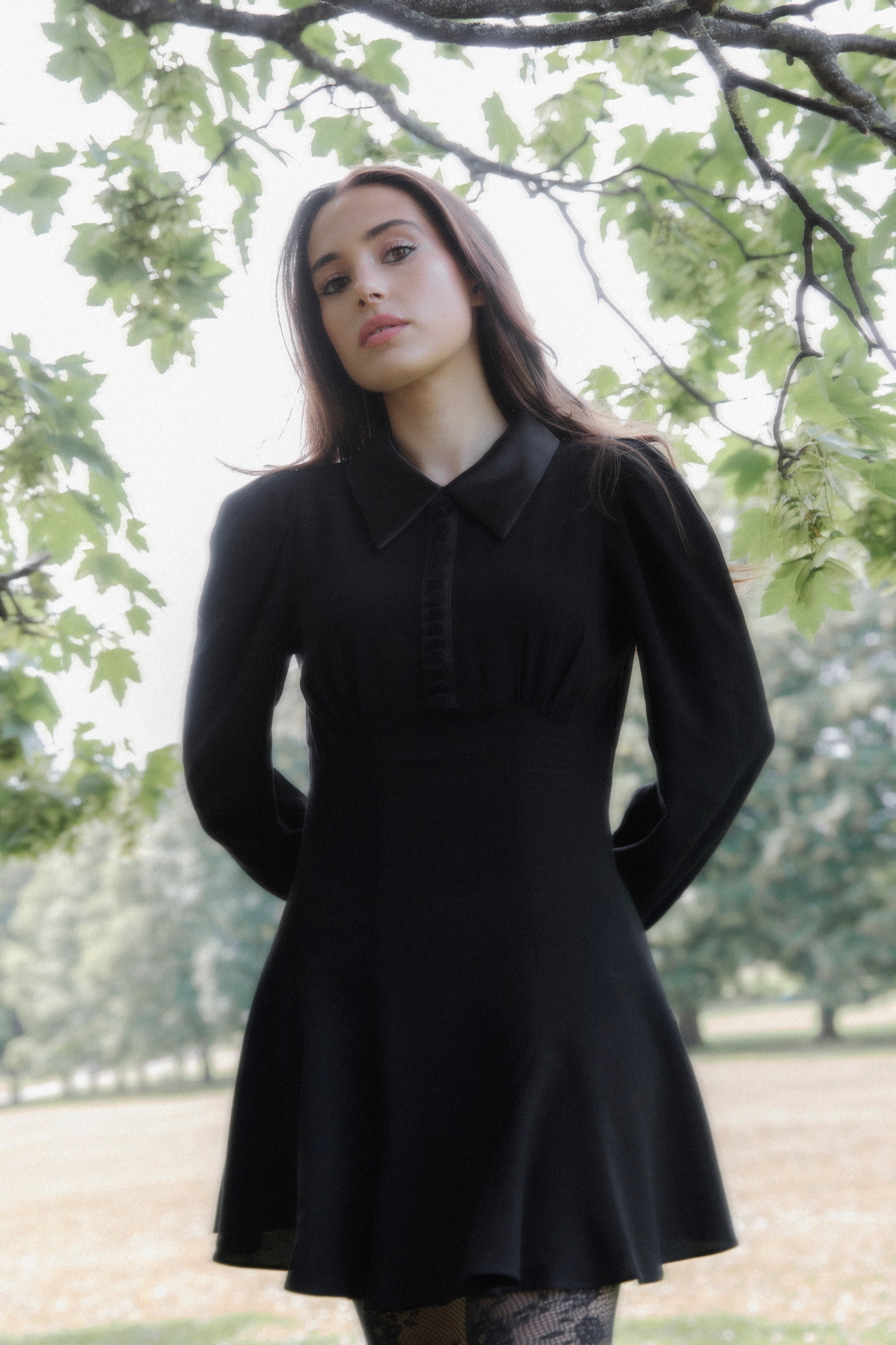VIOLA